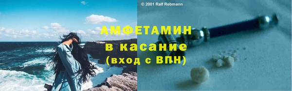 прущие грибы Дмитров
