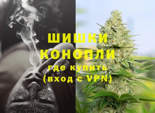 стафф Михайловск