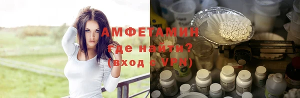 прущие грибы Дмитров