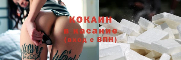 прущие грибы Дмитров