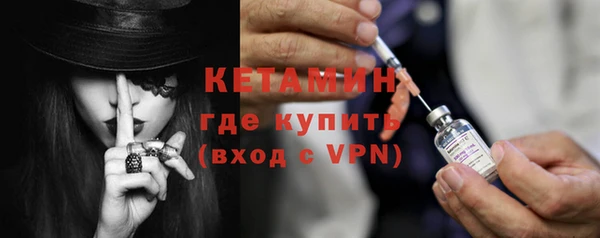 прущие грибы Дмитров