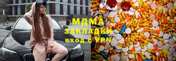 прущие грибы Дмитров
