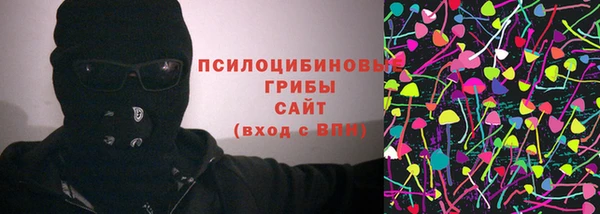 прущие грибы Дмитров